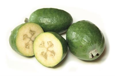 Feijoa