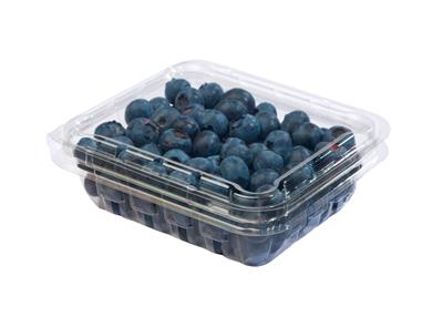 Blueberry Punnet 125g