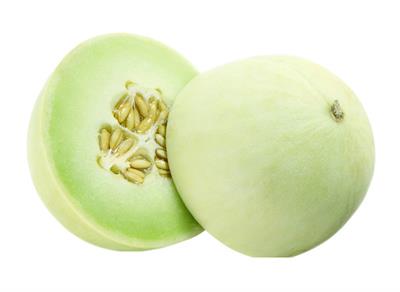 Melon Honeydew