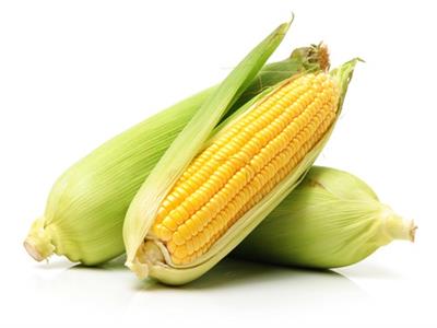 Sweetcorn