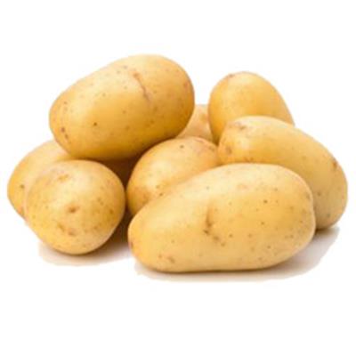 Potato Jersey Benne