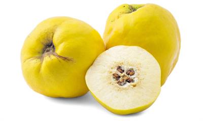 Quince