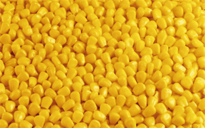 Corn Kernels IQF 1kg Frozen SB